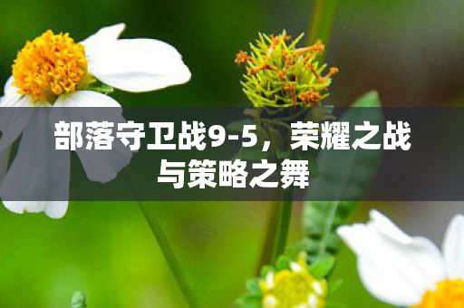 部落守卫战9-5,荣耀之战与策略之舞 部落守卫战9-5,荣耀之战与策略之舞