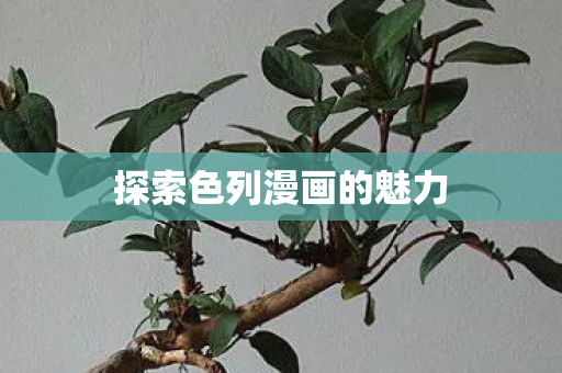 探索色列漫画的魅力