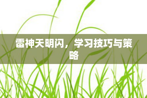 雷神天明闪，学习技巧与策略