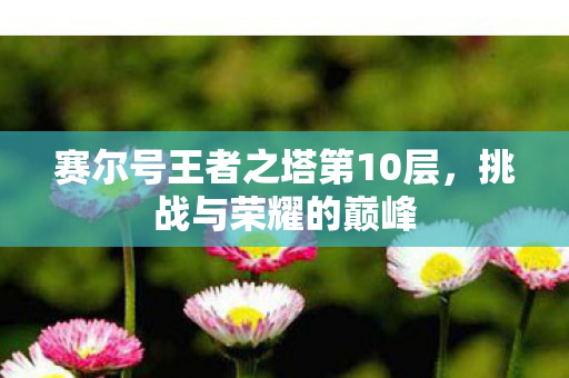 赛尔号王者之塔第10层,挑战与荣耀的巅峰 赛尔号王者之塔第10层,挑战与荣耀的巅峰