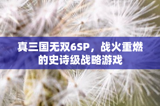 真三国无双6SP，战火重燃的史诗级战略游戏