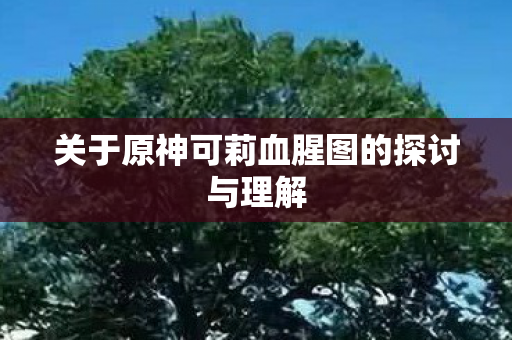 关于原神可莉血腥图的探讨与理解 关于原神可莉血腥图的探讨与理解