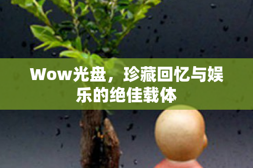 Wow光盘，珍藏回忆与娱乐的绝佳载体