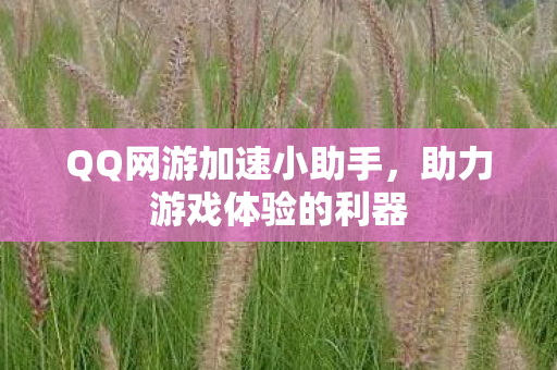 QQ网游加速小助手,助力游戏体验的利器 QQ网游加速小助手,助力游戏体验的利器