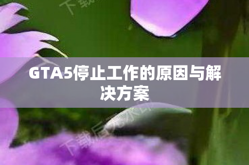 GTA5停止工作的原因与解决方案