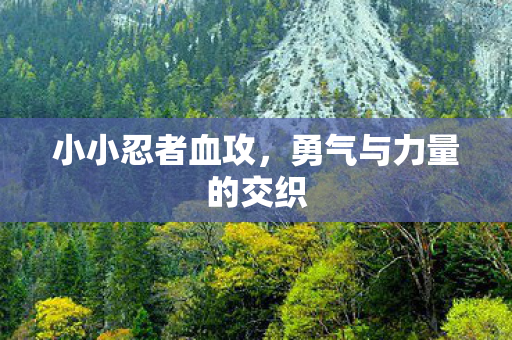 小小忍者血攻，勇气与力量的交织