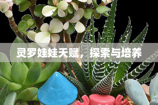 灵罗娃娃天赋，探索与培养