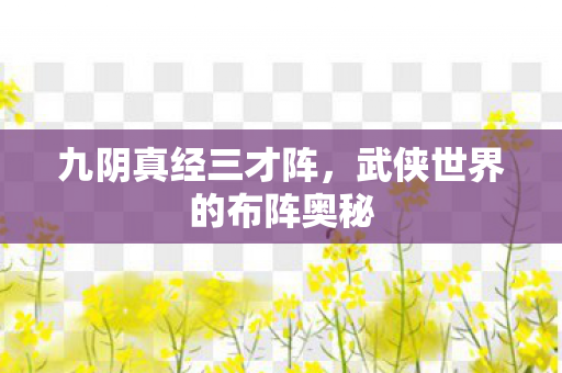 九阴真经三才阵,武侠世界的布阵奥秘 九阴真经三才阵,武侠世界的布阵奥秘