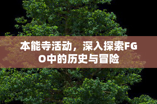 本能寺活动,深入探索FGO中的历史与冒险 本能寺活动,深入探索FGO中的历史与冒险