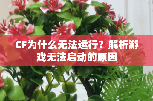 CF为什么无法运行？解析游戏无法启动的原因