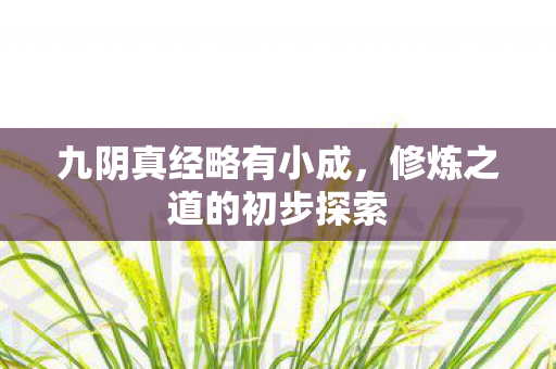 九阴真经略有小成，修炼之道的初步探索