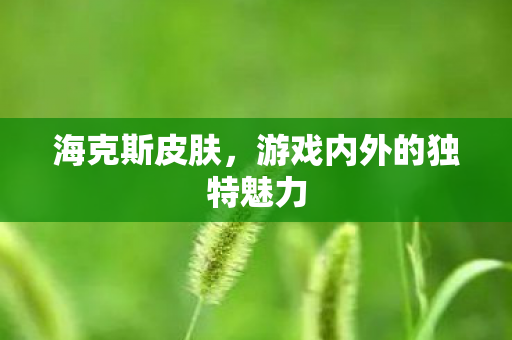 海克斯皮肤，游戏内外的独特魅力