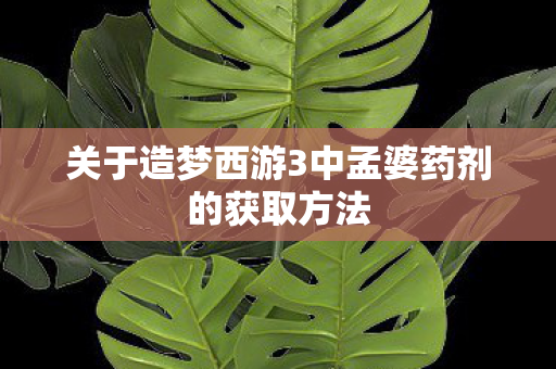 关于造梦西游3中孟婆药剂的获取方法