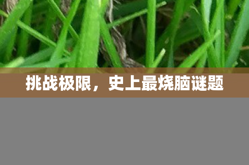 挑战极限,史上最烧脑谜题 挑战极限,史上最烧脑谜题