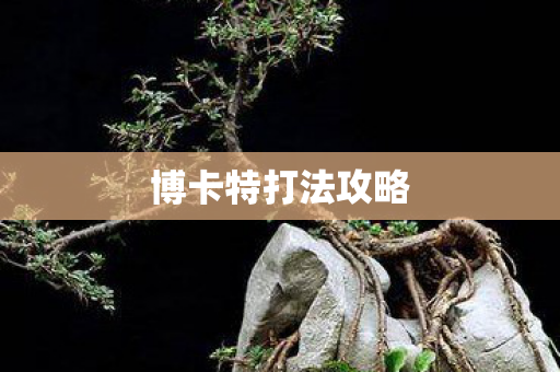 博卡特打法攻略 博卡特打法攻略