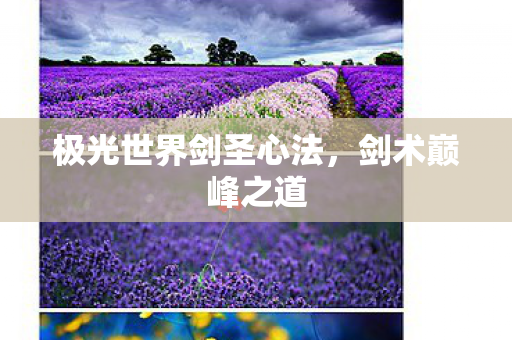 极光世界剑圣心法，剑术巅峰之道