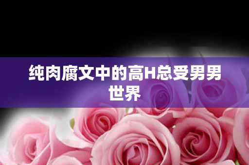 纯肉腐文中的高H总受男男世界