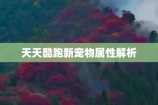 天天酷跑新宠物属性解析