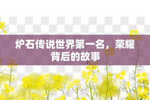 炉石传说世界第一名，荣耀背后的故事