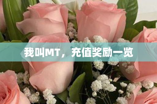 我叫MT，充值奖励一览