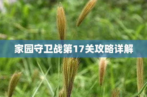 家园守卫战第17关攻略详解
