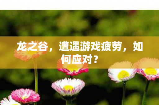 龙之谷，遭遇游戏疲劳，如何应对？