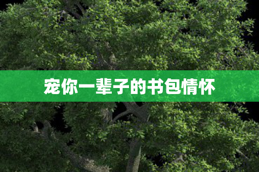 宠你一辈子的书包情怀
