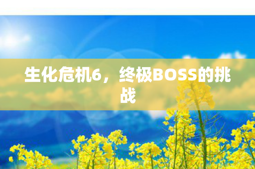 生化危机6，终极BOSS的挑战