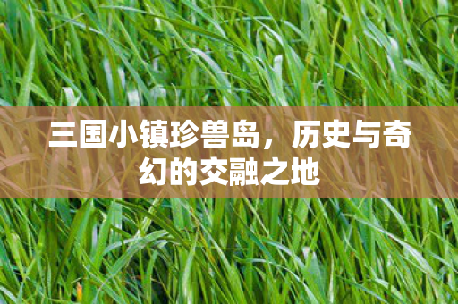 三国小镇珍兽岛，历史与奇幻的交融之地