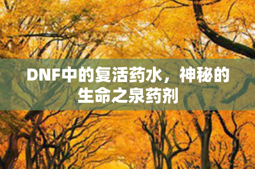 DNF中的复活药水,神秘的生命之泉药剂 DNF中的复活药水,神秘的生命之泉药剂