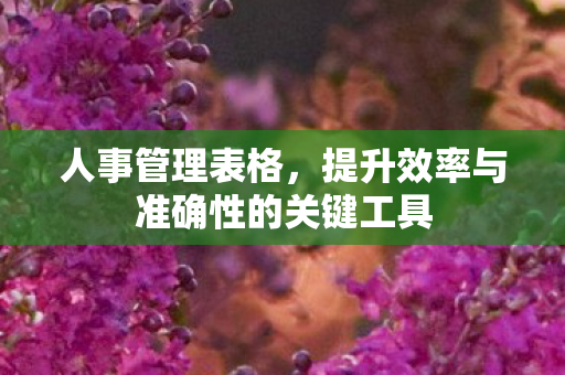 人事管理表格,提升效率与准确性的关键工具 人事管理表格,提升效率与准确性的关键工具