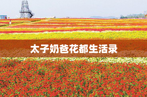 太子奶爸花都生活录