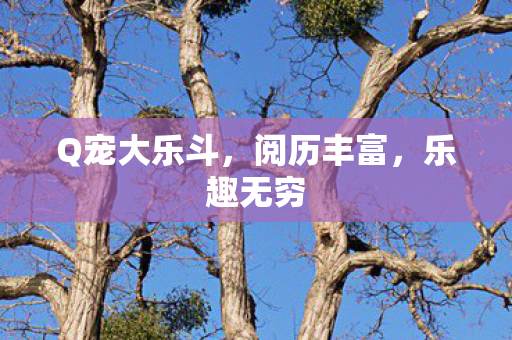 Q宠大乐斗,阅历丰富,乐趣无穷 Q宠大乐斗,阅历丰富,乐趣无穷