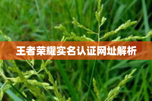 王者荣耀实名认证网址解析