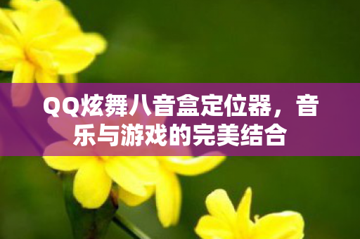 QQ炫舞八音盒定位器,音乐与游戏的完美结合 QQ炫舞八音盒定位器,音乐与游戏的完美结合