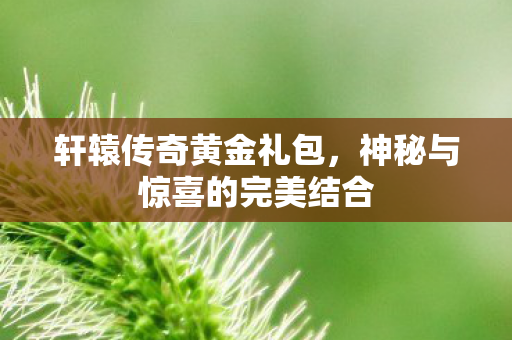 轩辕传奇黄金礼包,神秘与惊喜的完美结合 轩辕传奇黄金礼包,神秘与惊喜的完美结合
