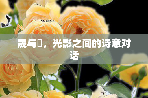 晟与暃，光影之间的诗意对话