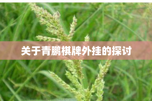 关于青鹏棋牌外挂的探讨 关于青鹏棋牌外挂的探讨