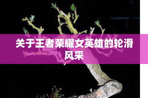 关于王者荣耀女英雄的轮滑风采 关于王者荣耀女英雄的轮滑风采