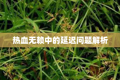 热血无赖中的延迟问题解析 热血无赖中的延迟问题解析