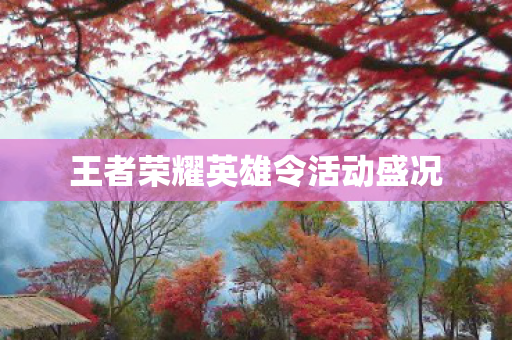 王者荣耀英雄令活动盛况