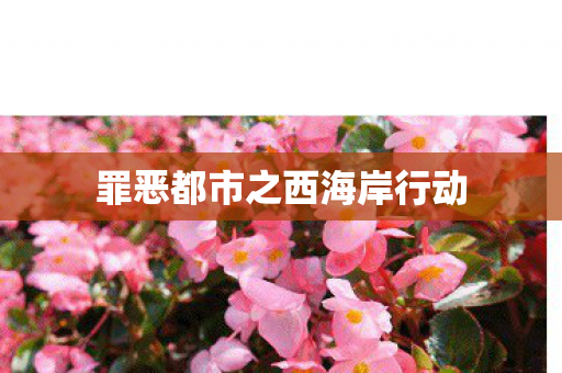 罪恶都市之西海岸行动