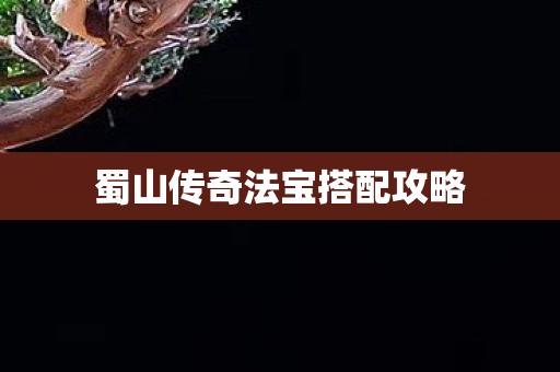 蜀山传奇法宝搭配攻略