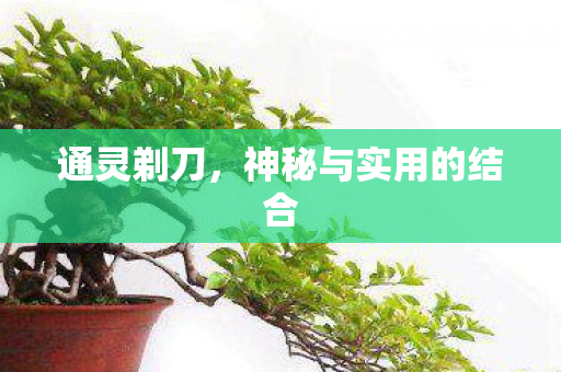 通灵剃刀，神秘与实用的结合