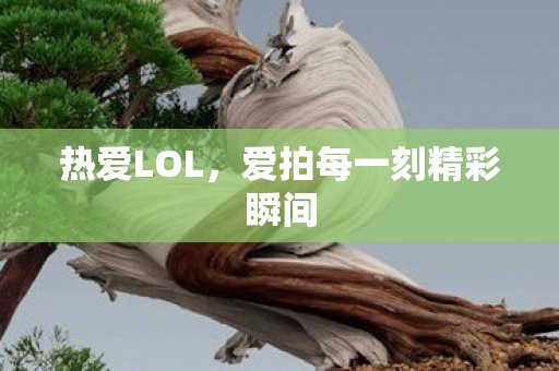 热爱LOL，爱拍每一刻精彩瞬间