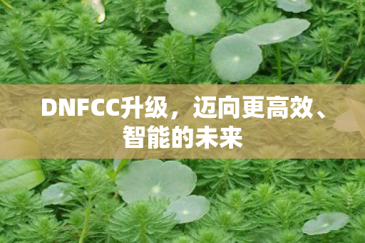 DNFCC升级，迈向更高效、智能的未来