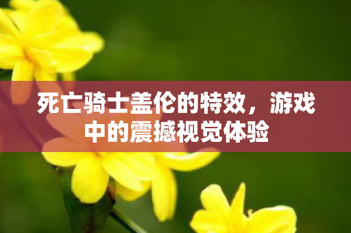 死亡骑士盖伦的特效，游戏中的震撼视觉体验