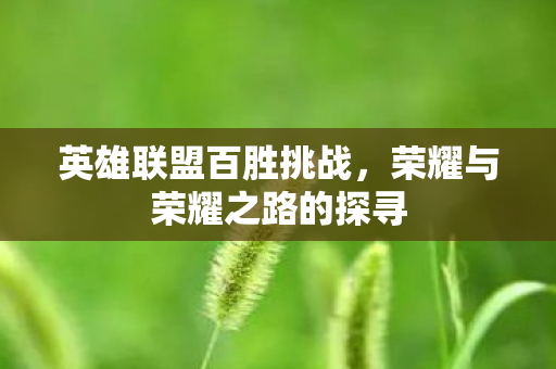 英雄联盟百胜挑战，荣耀与荣耀之路的探寻