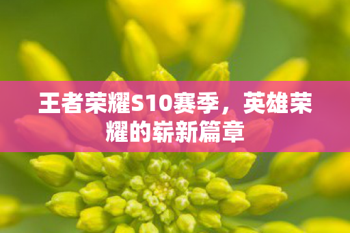 王者荣耀S10赛季，英雄荣耀的崭新篇章