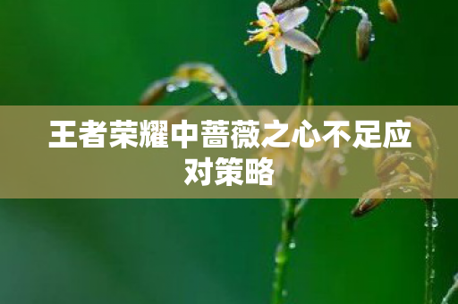 王者荣耀中蔷薇之心不足应对策略